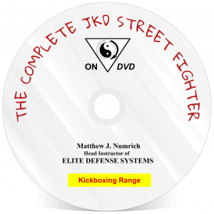 DVD-Single-Kickboxing-Medium