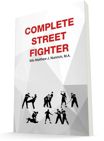 Manual Complete Street Fighter Manual