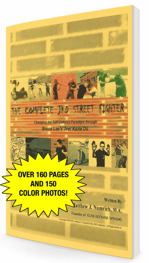 complete-street-fighter-ebook