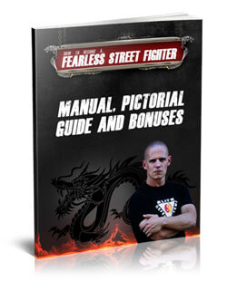 fearless-street-fighter-manual
